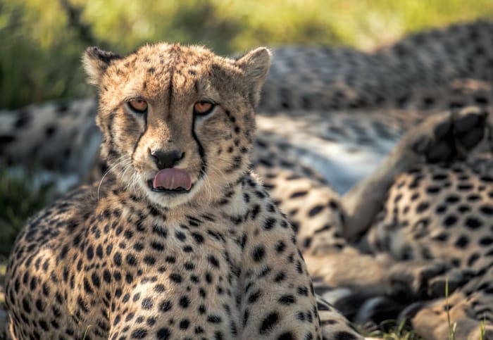 BK8I6749 - GALLERY.jpg